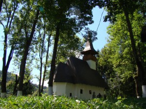 Pelerinaj 2010 (178) Pelerinaj 2010 (178)