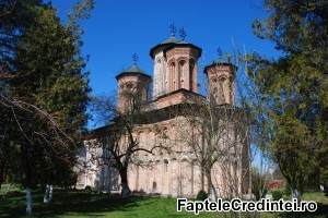 Manastirea Snagov (25)