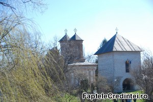 Manastirea Snagov (6)