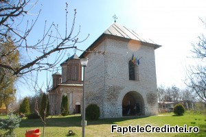 Manastirea Snagov (9)