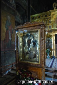 Manastirea Caldarusani (8)